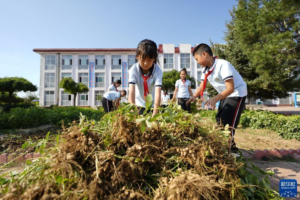 久胜国际app客户端